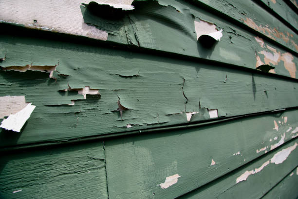 Demolition Debris Removal in Clay, KY
