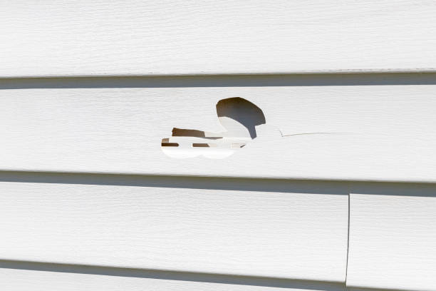 Reliable Clay, KY Junk Removal Solutions
